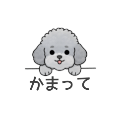 [LINEスタンプ] フランクな会話のトイプードル（感情多め）