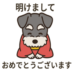 [LINEスタンプ] ミニチュアシュナウザーのお正月スタンプ