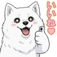 [LINEスタンプ] 【日常】ふわふわの白い犬