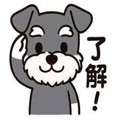 [LINEスタンプ] キュートなミニチュアシュナウザースタンプ