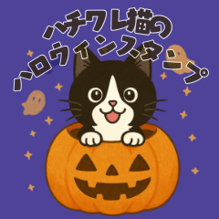 [LINEスタンプ] ハチワレ猫のハロウィンスタンプ