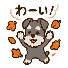 [LINEスタンプ] 秋のミニチュアシュナウザー