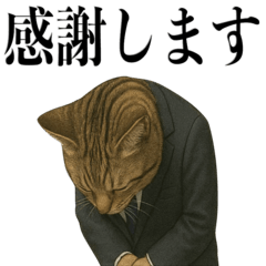 [LINEスタンプ] ビジネス猫の敬語スタンプ