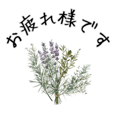 [LINEスタンプ] 想いを添える＊お花とメッセージ