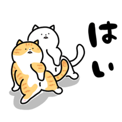 [LINEスタンプ] 猫飼いさんが目にする日常（ヘソ天多め）