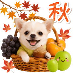 [LINEスタンプ] 大人かわいい秋の癒しチワワ