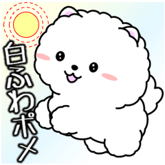 [LINEスタンプ] 飛び出す！白ふわポメの気づかい
