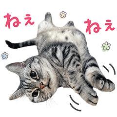 [LINEスタンプ] める884-2