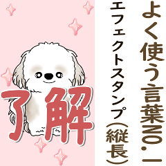 [LINEスタンプ] 背景が動くシーズー犬「よく使う言葉」NO.1