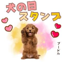 [LINEスタンプ] ふわもこプードル♡スタンプ