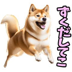 [LINEスタンプ] 長野弁☆柴犬