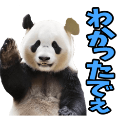 [LINEスタンプ] 大分弁☆パンダ