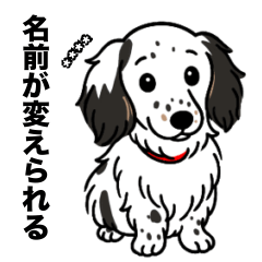 [LINEスタンプ] 名前入りダックスソリブラパイボールド