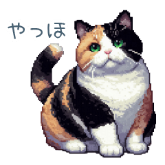 [LINEスタンプ] 三毛猫ポケの日常【かわいい・連絡】