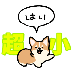 [LINEスタンプ] 『超』小さいコーギー(フキダシ)