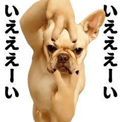 [LINEスタンプ] 踊る！横揺れ界隈/フレンチブルドック