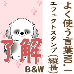 [LINEスタンプ] B＆W背景が動くシーズー犬「よく使う言葉」