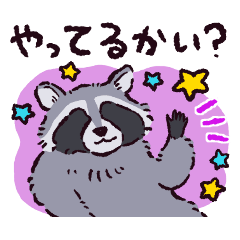 [LINEスタンプ] アライグマです