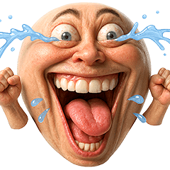 [LINEスタンプ] 顔文字くん 13 (写実バージョン)