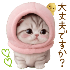 [LINEスタンプ] スコティッシュ猫 毎日送れる 日常 敬語