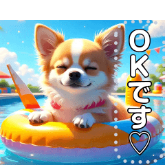 [LINEスタンプ] 【犬】眠そうチワワ♡プール浮き輪