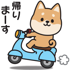 [LINEスタンプ] 家族連絡用〇しばいぬのスタンプ
