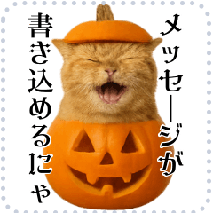 [LINEスタンプ] 書き込める♥ハロウィンな猫ミーム 改