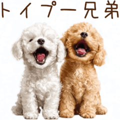 [LINEスタンプ] トイプー兄弟、今日も元気！