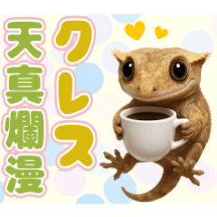 [LINEスタンプ] クレステッドゲッコーの天真爛漫