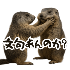 [LINEスタンプ] リアルなマーモットのケンカ