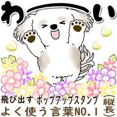 [LINEスタンプ] 飛び出すシーズー犬 「よく使う言葉」7