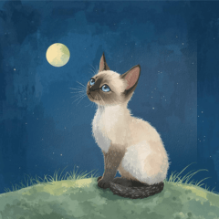 [LINEスタンプ] 月夜のチャロと星のことば – renewal