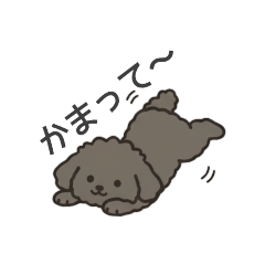 [LINEスタンプ] 落書き風トイプー グレー（日常会話）