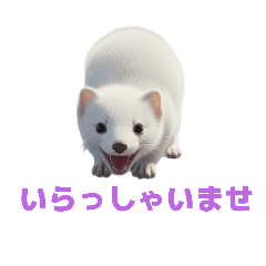 [LINEスタンプ] オコジョ 2 J