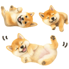 [LINEスタンプ] 柴犬♡やる気ゼロ子犬