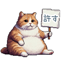 [LINEスタンプ] 強気な猫【ネコ、かわいい、面白い】