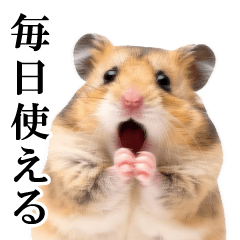 [LINEスタンプ] 毎日使える♪リアルなハムちゃん