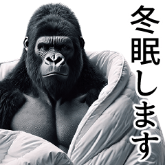 [LINEスタンプ] 【冬】イケメンゴリラ