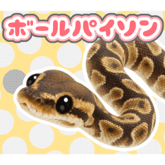 [LINEスタンプ] ボールパイソンの日常。