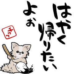 [LINEスタンプ] 格言ぽく言うチワワ