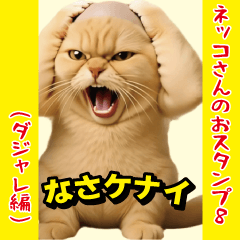 [LINEスタンプ] ネッコさんのおスタンプ8