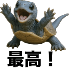 [LINEスタンプ] 青いカメのリアルスタンプ