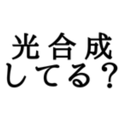 [LINEスタンプ] 地味に使える理科用語スタンプ