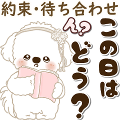[LINEスタンプ] 白い垂れ耳わんこさん「約束・待ち合わせ」