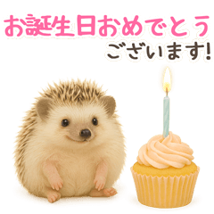 [LINEスタンプ] 赤ちゃんアニマルのやさしい誕生日＆日常