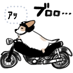 [LINEスタンプ] シロは今日も走る