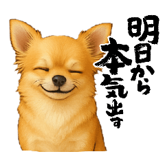 [LINEスタンプ] チワワ×ポメラニアンの毎日