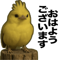 [LINEスタンプ] トサカトリの挨拶スタンプ