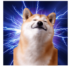 [LINEスタンプ] 動く！荒ぶる柴犬