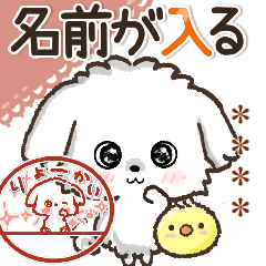 [LINEスタンプ] 名前が入る★愛犬マルチーズ【判子】